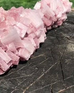 4.4K views · 436 reactions | Pink halite Origin: Lake Trona, California Courtesy: Geology Rocks & Minerals | Learning Geology | Facebook