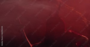 Long horns of the succubus, creepy female demon in red lighting, 4k