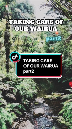 Taking Care Of Our Wairua Part 2: Sir Mason Durie - Te Whare Tapa Wha