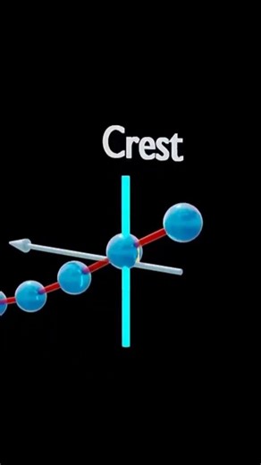 longitude wave transversal wave amplitude #animation #physics