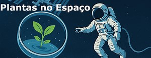 MicroGravity - Simulador De Um Ambiente De Microgravidade