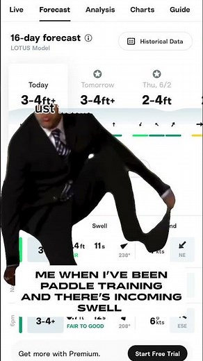 Me when I’ve been paddle training and there’s incoming swell