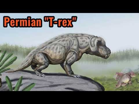 Anteosaurus - The King Of The Middle Permian