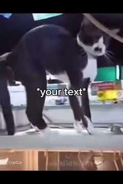 the meme collection of no return #meme #funny #memecollection #viral