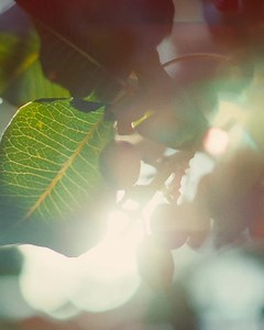 1.2M views · 1.6K reactions | People, places, and moments come together to make Alamogordo a truly unique place. Come create your own special memories. | New Mexico True | Facebook