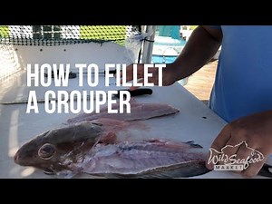How to Fillet a Grouper Fish | Most Meat, No Bones | Plus Cheeks