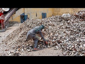 Amazing Process of Crushing Buffalo Bone | Bone Recycling Process