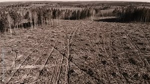 Sepia aerial of a deforested area with remaining trees on the horizon