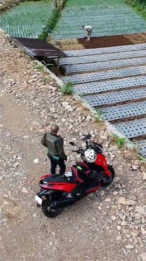 Beautiful Paris Van Java#shorts