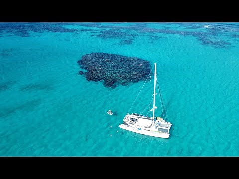 Bahamas Program Info Session for 2024 Adventures