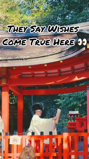 Fushimi Inari ⛩️😍#fushimiinaritaisha #kyoto #japan #日本 #travel #travelvlog #shorts #inari