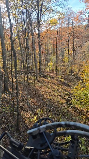 Robert Ward on Reels | Facebook