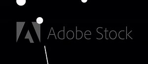 Musca constellation. Stars in the night sky. Constellation in line art style in black and white. Cluster of stars and galaxies. Horizontal composition, 4k video quality