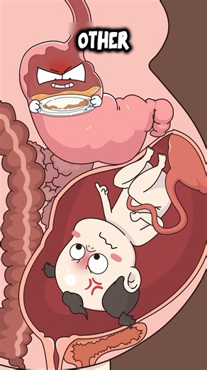 39K views · 572 reactions | How Mom’s Diet Affects Baby in the Womb #animation | Health manager 2d | Facebook
