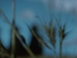 Blood Tea and Red String (2006)