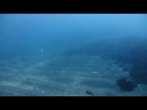 潜水艦か⁉ソナー音を捉えた水中映像！！