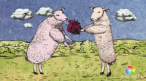 Robert Bakewell revolutionized sheep and cattle breeding — changing agriculture forever. #discoveryplus Stream Six Degrees with Mike Rowe on discovery . Download and subscribe now! 👉 http://discoverypl.us/388k3GH | Science Channel