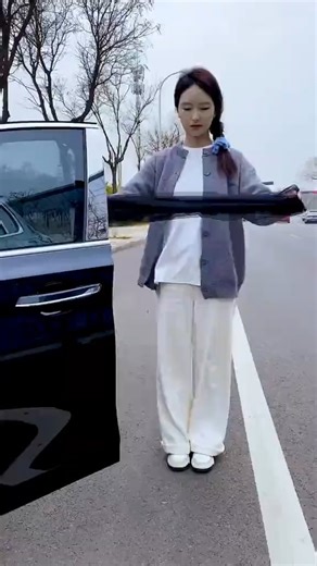 Car Window Bug Net | The Creative Workshop