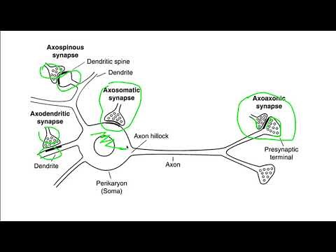 Sumación Espacial y Temporal