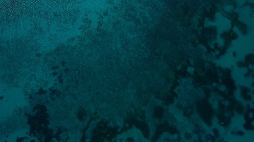 第2068期：RegCool注册表编辑绿色版。
