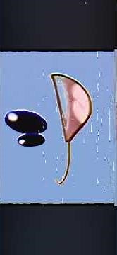 Nick Jr Face Logo Effects Videos #nickjr #logoeffects