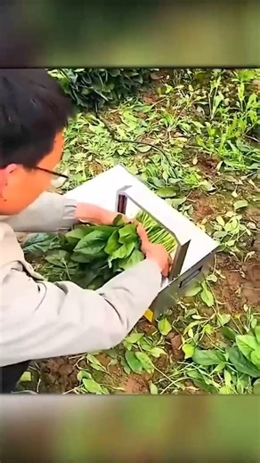 Great mechanical inventions make your work faster | Emmanuel Baptist Church-Starkville