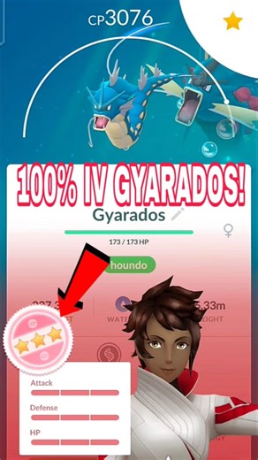 100% IV Gyarados Evolution in Pokémon GO 🔥 HUNDO!