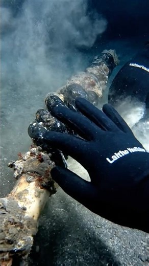 Found a bone dagger... look at the HANDLE grip 🧜‍♂️🗡️