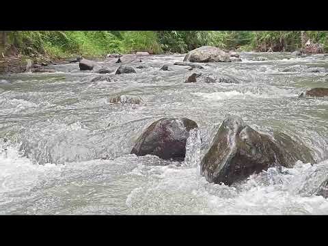 ASMR River Sounds (No Talking) | Fall Asleep Fast