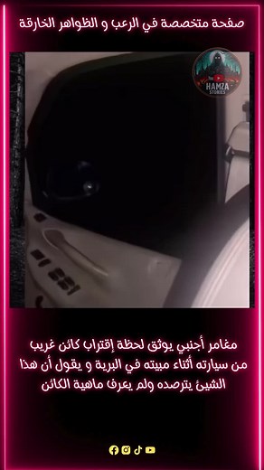 ظهور عيون مرعبة في غابة: تجربة رعب لا تنسى
