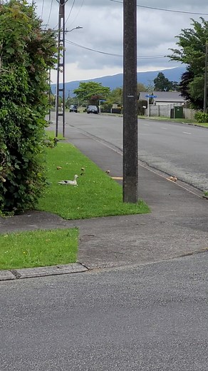 Sharon White on Reels
