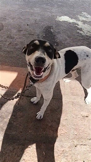 nagutom na daw si bugard