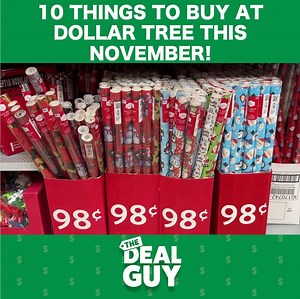 210K views · 3.6K reactions | Here are some of the top items you should be buying at #DollarTree this November! | The Deal Guy | Facebook