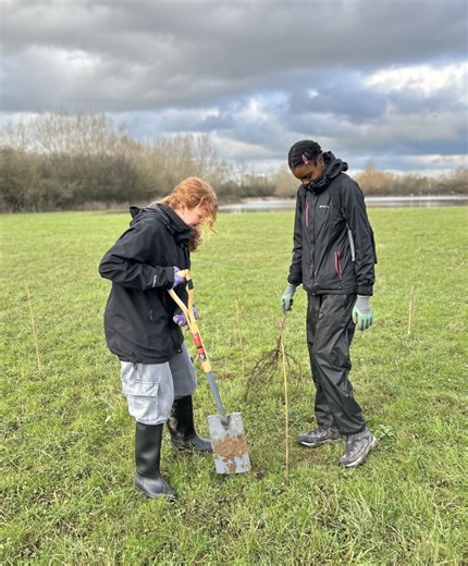Worcester students help plant trees at Chapter Meadows