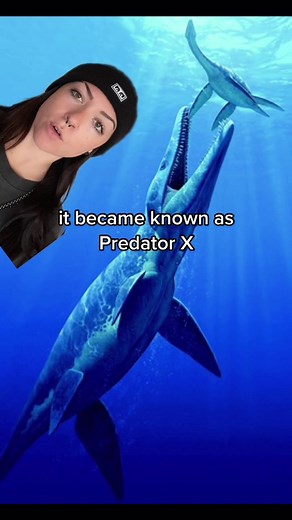 Discovering Predator X: The Giant Pliosaur of the Jurassic