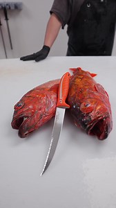 9K views · 82 reactions | How to butterfly a vermillion rockfish with...