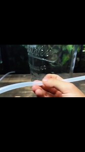 Creating A Flowing Waterfall Inside a Glass Jar! #terarium #paludarium | Terrarium Designs2