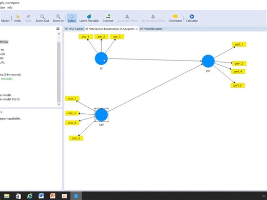 SmartPLS3实战教学04交互作用 Interaction Moderation