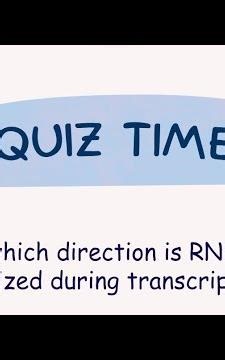 Quiz || Transcription in Prokaryotes|| CSIR-NET|| Life Sciences #molecularbiology