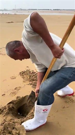 #go to gather seafood on the beach at ebb tide#The New Farmer Program#There is much joy in