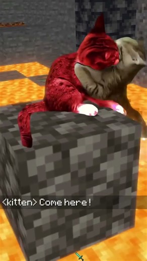 cat playing Minecraft pt.3 #catinminecraft #minecraft #cat #catplaying #funny #shorts #foryou