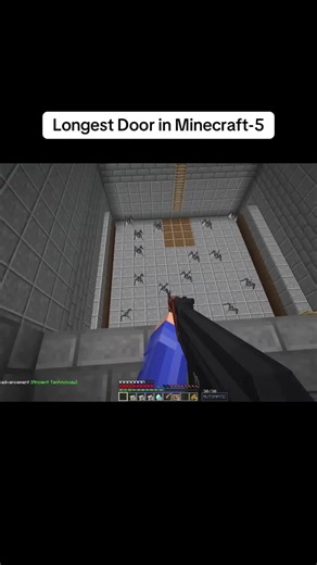 Longest Door in Minecraft-5