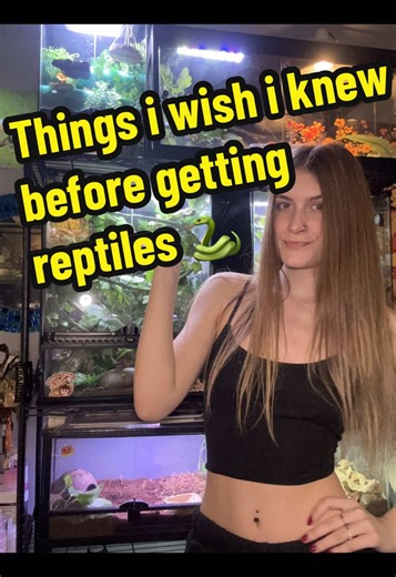 Things I wish I knew before getting reptiles. What do you wish you knew? 🤔🐍🦎 #reptilekeepers #reptilesoftiktok #beardeddragon