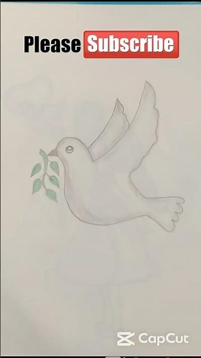 How to Draw a Peace Dove Easily | Step-by-Step Bird Drawing for Beginners