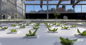 Planting seeds of the future, new environment controlled ag program at Texas A&M