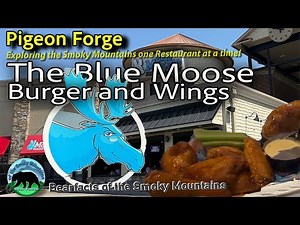The Blue Moose Burger and Wings: The Best Wings in Town?