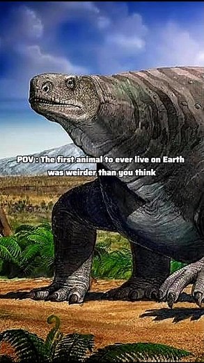 Earth’s First Animal Was Stranger Than You Think #Dickinsonia #AncientLife #EarthHistory