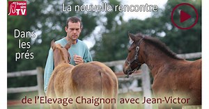 Dans les prés de l'Elevage Chaignon, la nouvelle rencontre avec Jean-Victor