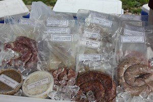 Newtown Square Farmers' Market Moves to Bigger and Better Location