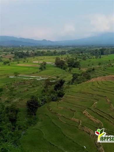 Cara Akses Informasi Buletin Teknologi dan Inovasi Pertanian Panduan langkah demi langkah untuk mengakses Buletin Teknologi dan Inovasi Pertanian, salah satu media publikasi Kementerian Pertanian yang menyajikan informasi teknologi dan inovasi pertanian terapan. Buletin ini memuat artikel terkait budi daya, pemeliharaan, panen dan pascapanen, serta inovasi pertanian spesifik lokasi yang dapat diakses secara gratis dan terbuka untuk publik. Buletin Teknologi dan Inovasi Pertanian hadir sebagai sa